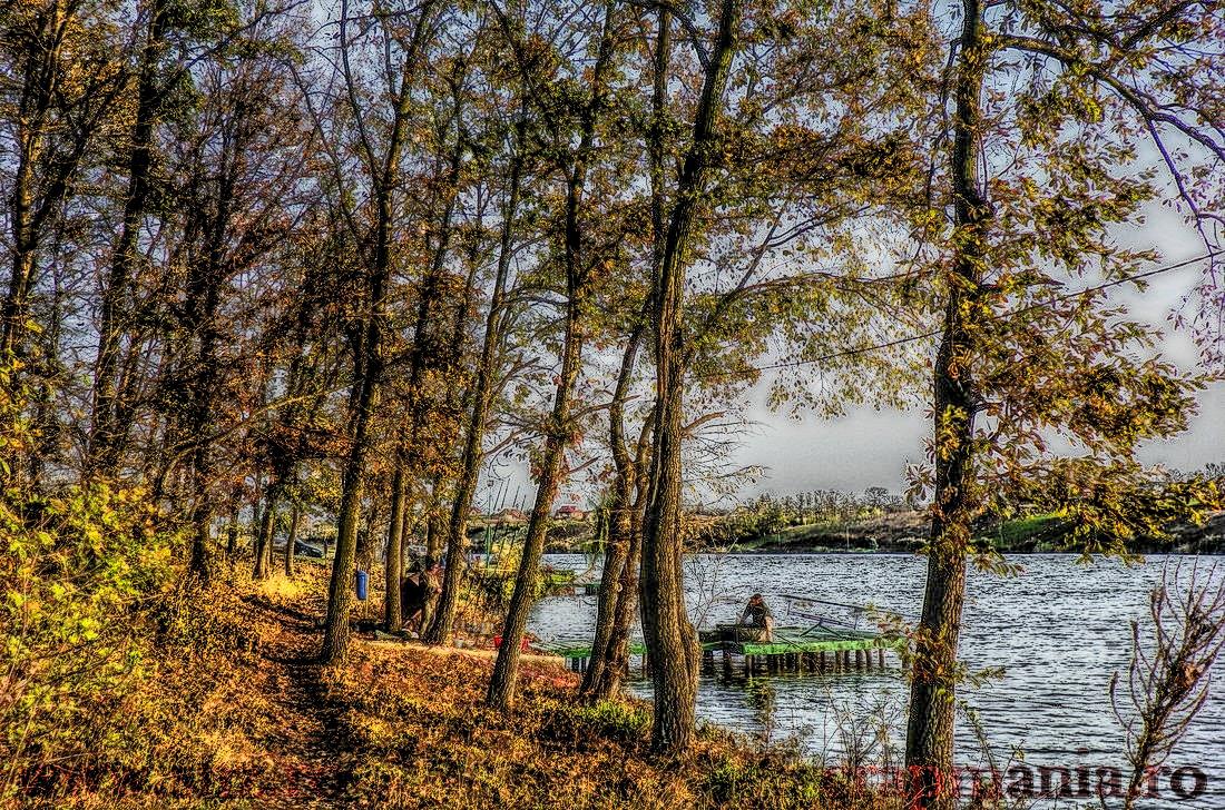 Cupa Iernii 2013 - 1031982hdrmode2-2.jpg